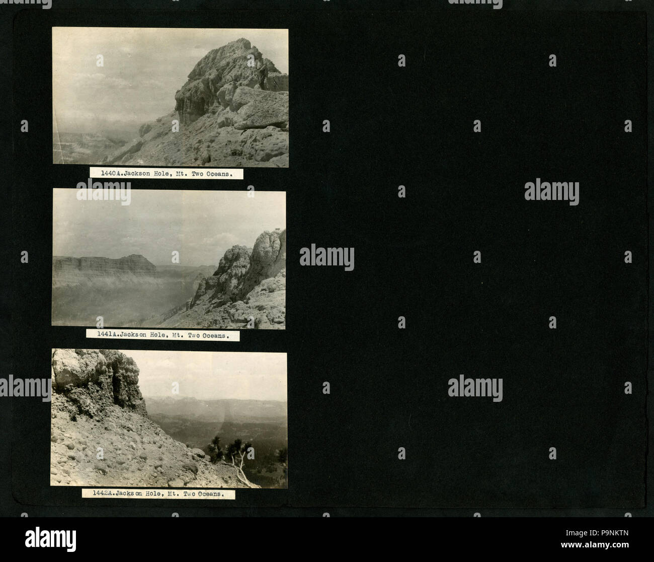 72 587--778; -1316A--1448 A. A. S. Hitchcock - Guiana britannica, 1919-1920, Washington, D.C., compresa SI e Rock Creek Park; Cuba; Colorado e Wyoming, 1918 (pagina 69) BHL48116062 Foto Stock