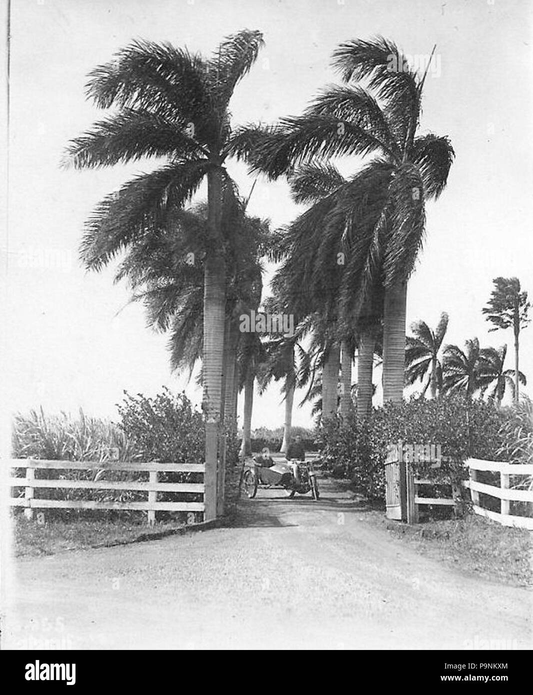 72 6 Aero Squadron Campo di Luca Foto Stock