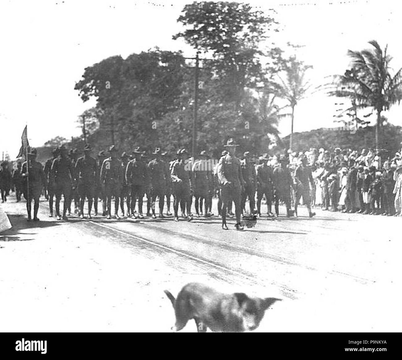 72 6 Aero Squadron parade Foto Stock