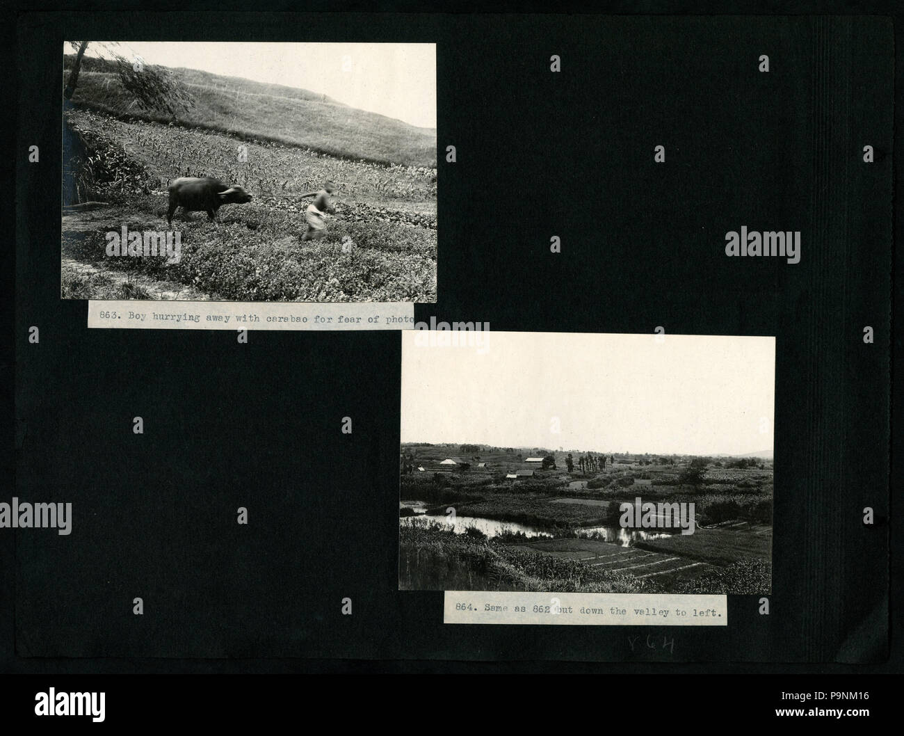 73 782--1118, A. S. Hitchcock- Asia, 1921, Georgia e Florida, Panama ed Ecuador, 1923 comprende fotografie di Floyd A. McClure (pagina 28) BHL48070074 Foto Stock