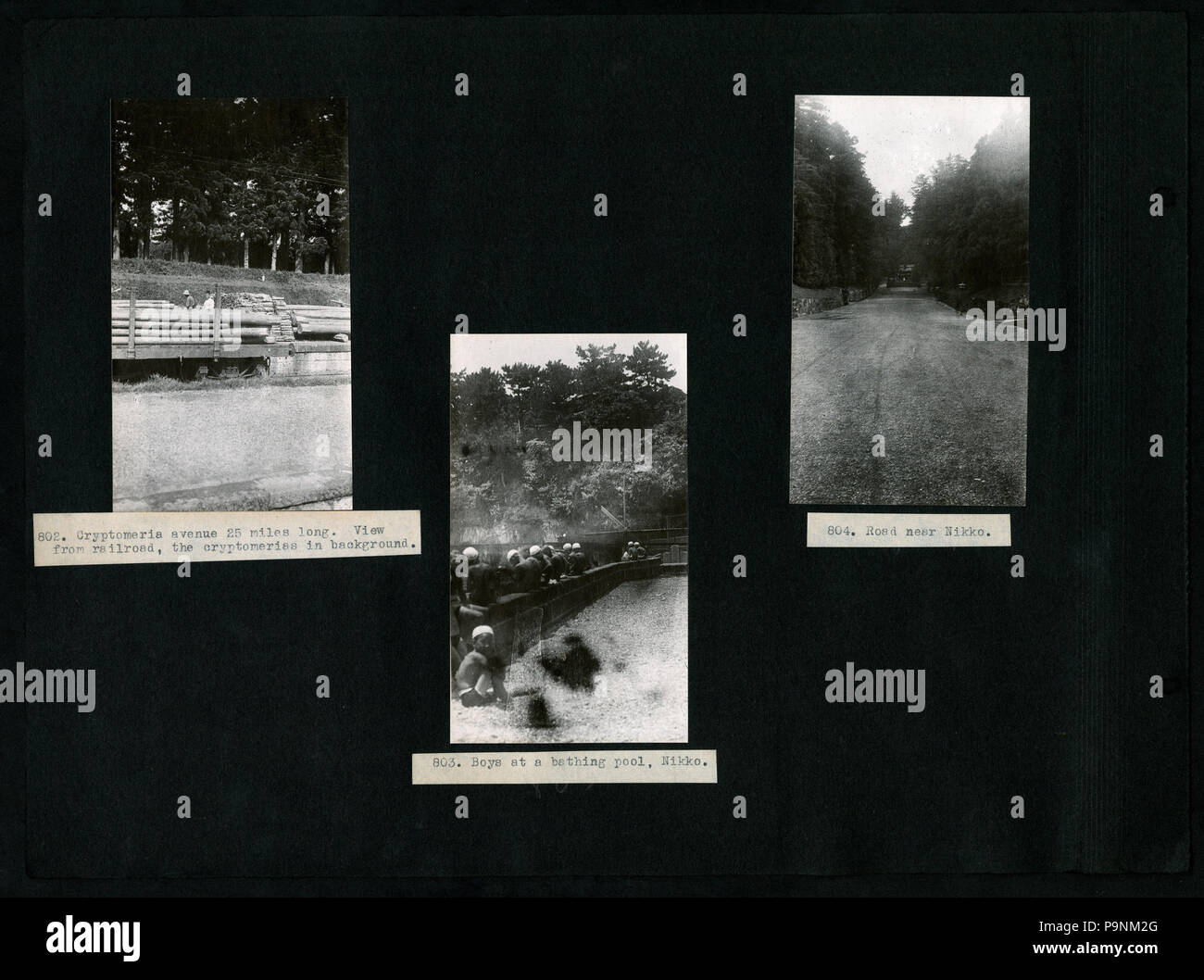 73 782--1118, A. S. Hitchcock- Asia, 1921, Georgia e Florida, Panama ed Ecuador, 1923 comprende fotografie di Floyd A. McClure (pagina 6) BHL48070096 Foto Stock