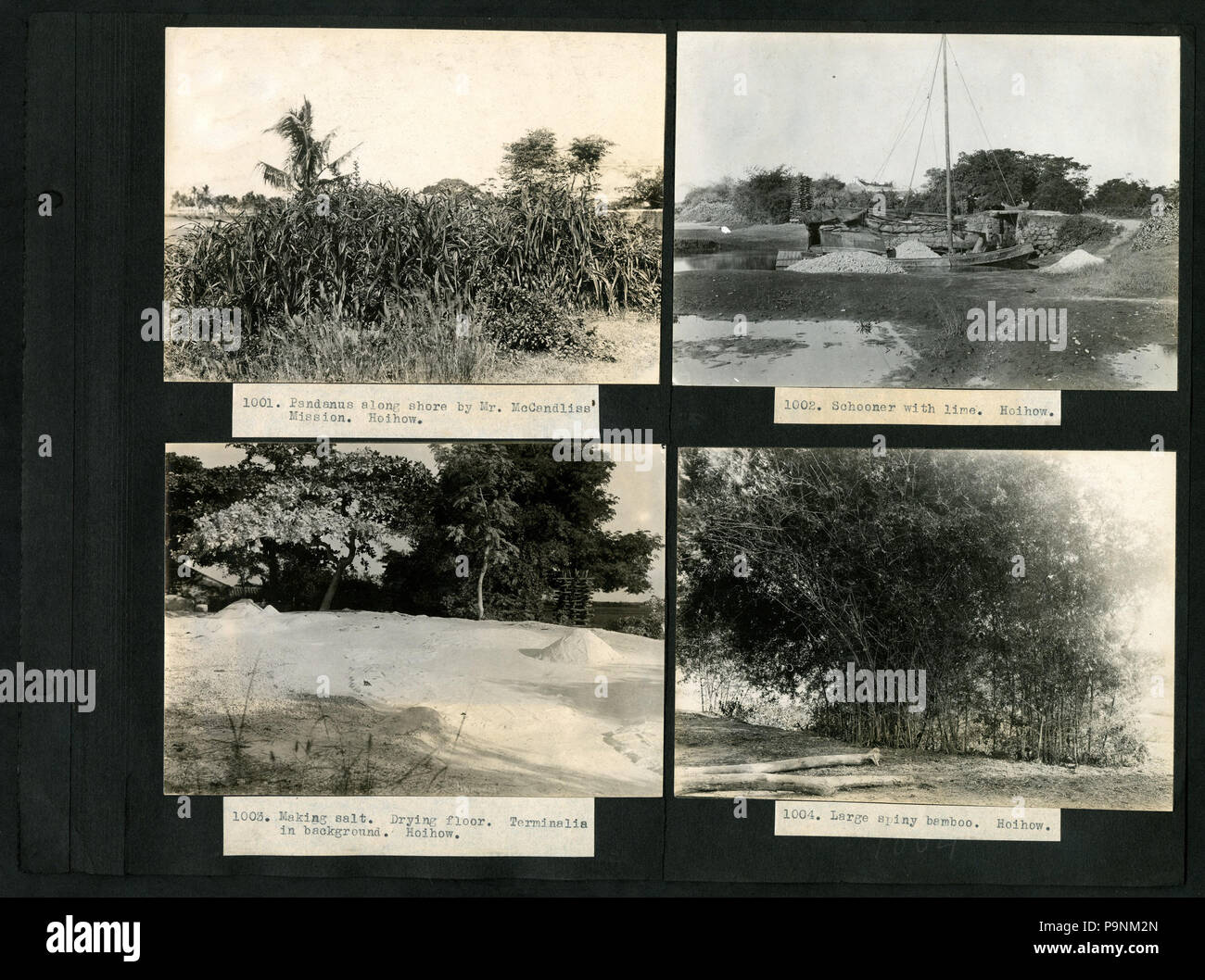 73 782--1118, A. S. Hitchcock- Asia, 1921, Georgia e Florida, Panama ed Ecuador, 1923 comprende fotografie di Floyd A. McClure (pagina 65) BHL48070031 Foto Stock