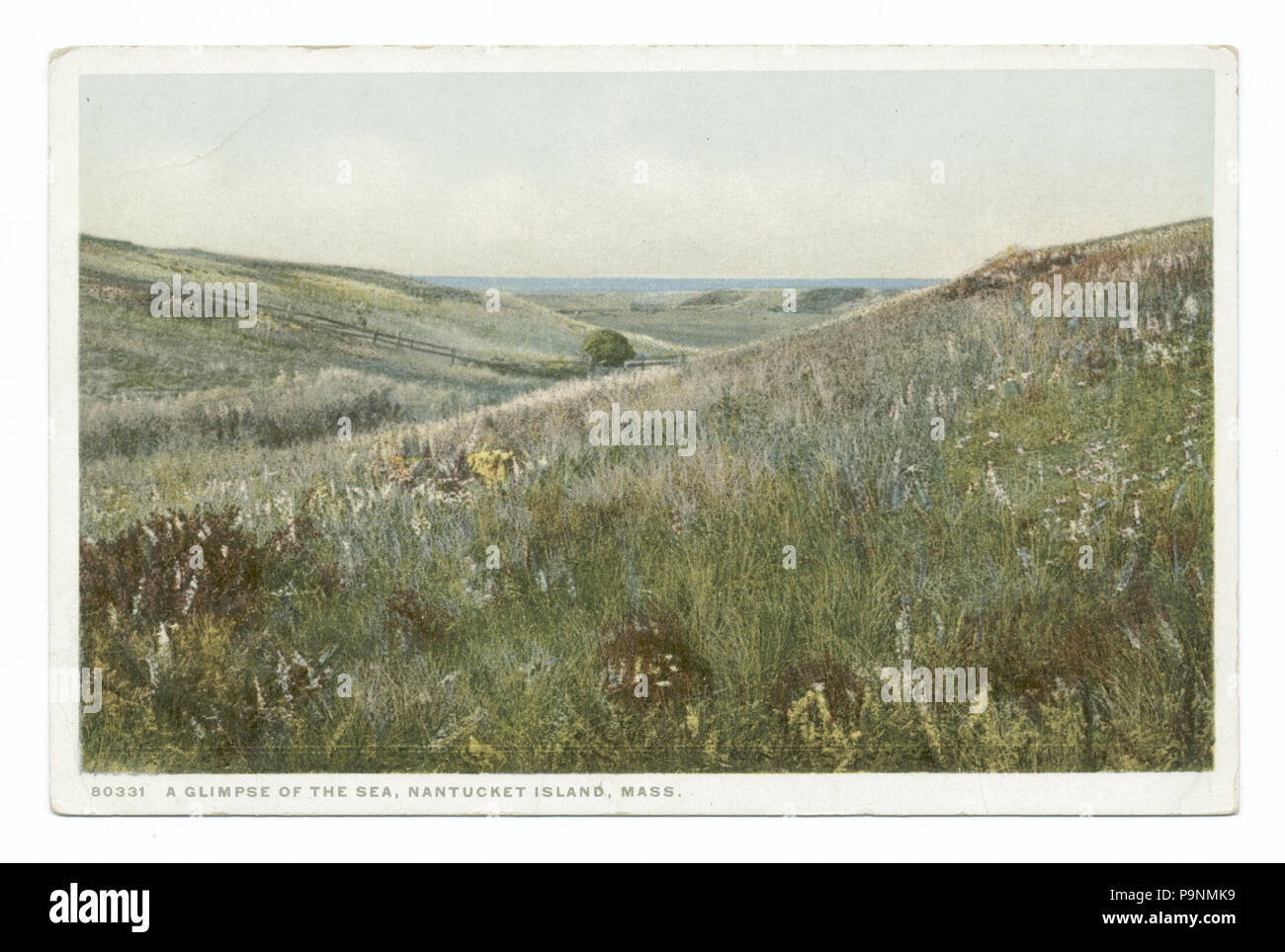 80 uno scorcio di mare, Nantucket Island, massa (NYPL b12647398-402514) Foto Stock