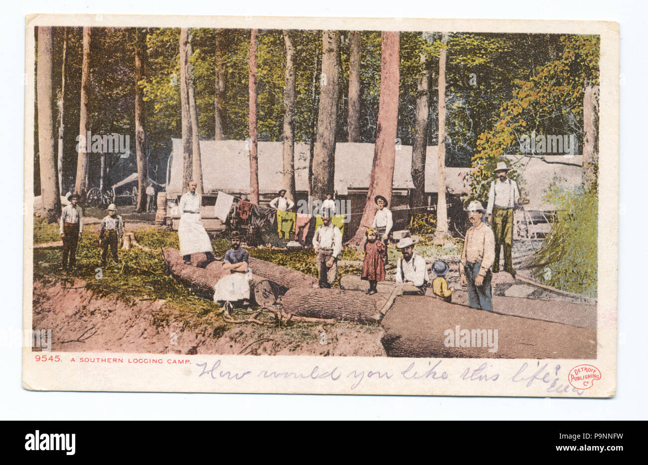 89 una registrazione del Sud Camp, Sud (NYPL b12647398-68369) Foto Stock