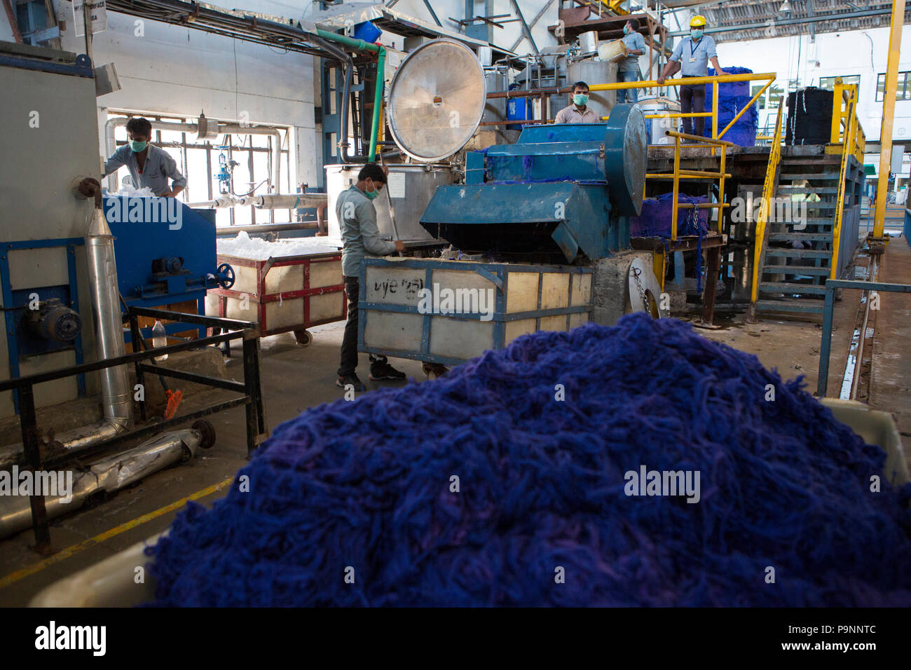 In cotone organico essendo tinto in una fabbrica di indumento, dove in cotone organico viene utilizzato per fare i vestiti, Indore, India. Foto Stock