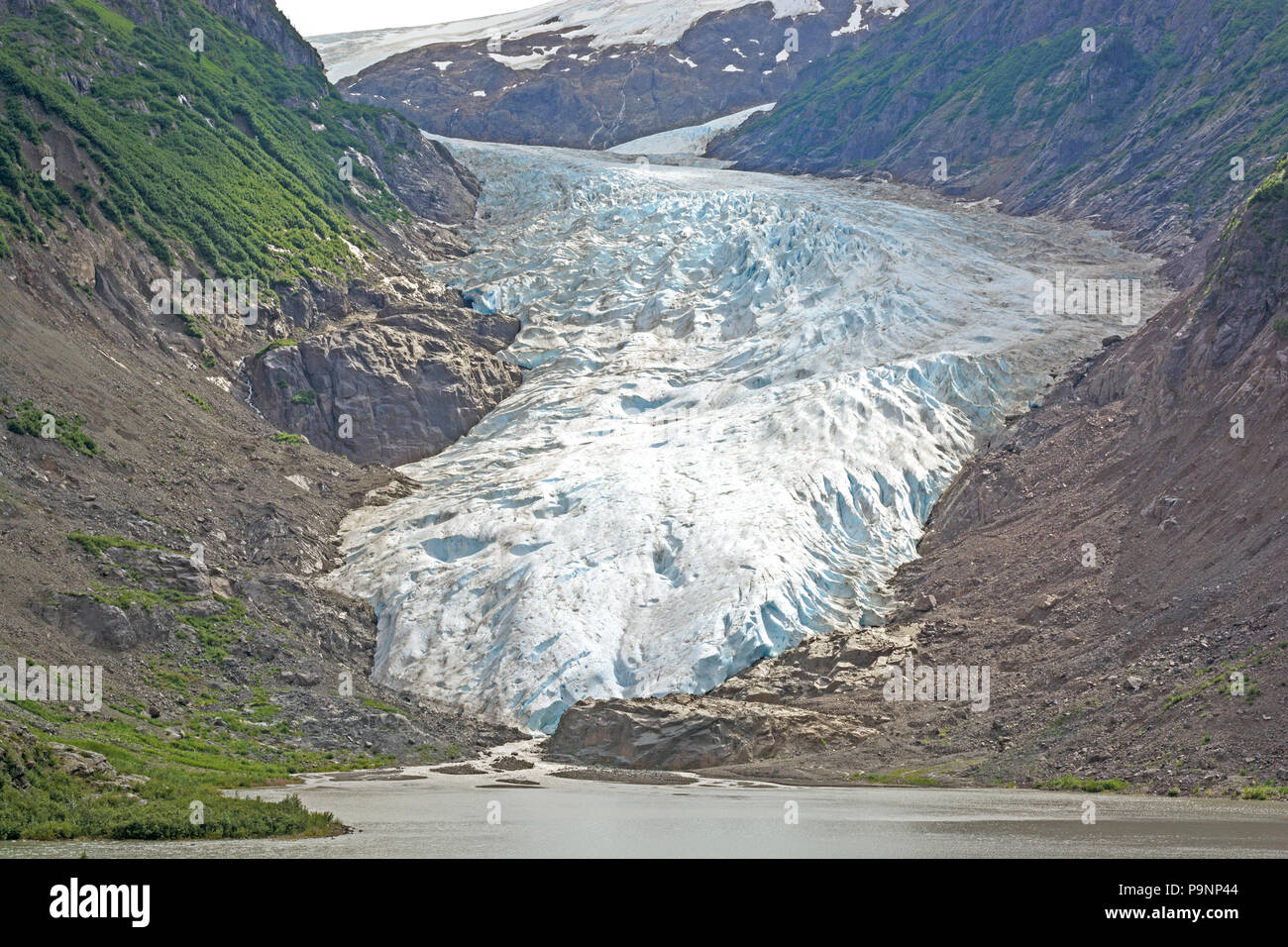 Il ghiacciaio di Orso in uscita delle montagne vicino a Stewart, British Columbia Foto Stock