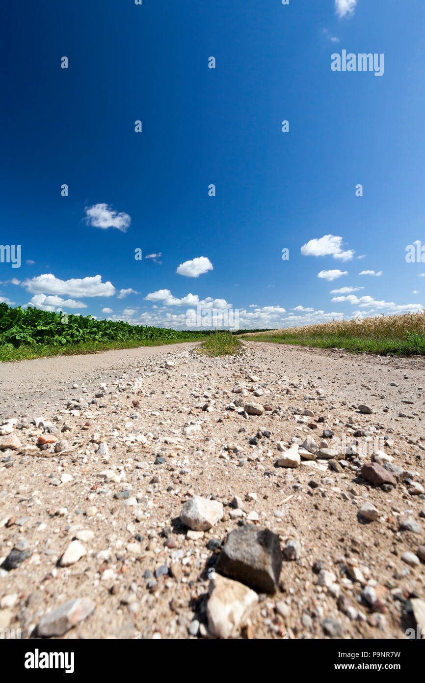 Country Road attraverso il campo, ciottoli nella sabbia, bel paesaggio estivo Foto Stock