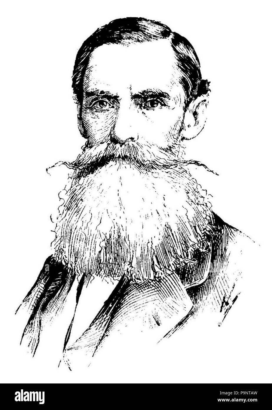 145 Appletons' Strother David Hunter (ritagliate) Foto Stock