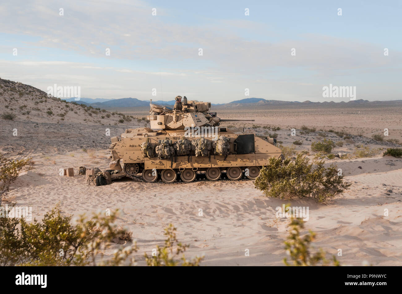 Soldato alla guida di un Bradley di combattimento della fanteria, veicolo assegnato all'esercito della Pennsylvania Guardia Nazionale il 3° Stormo, 278th Armored reggimento di cavalleria, con sede fuori di Lewisburg, Penn., mantiene rigorosa consapevolezza situazionale per contrastare le forze durante un pre-distribuzione esercizio di formazione presso l'U.S. Dell'esercito Fort Irwin National Training Centre, 7 maggio. (Foto di U.S. Army Sgt. Sarah Kirby) Foto Stock