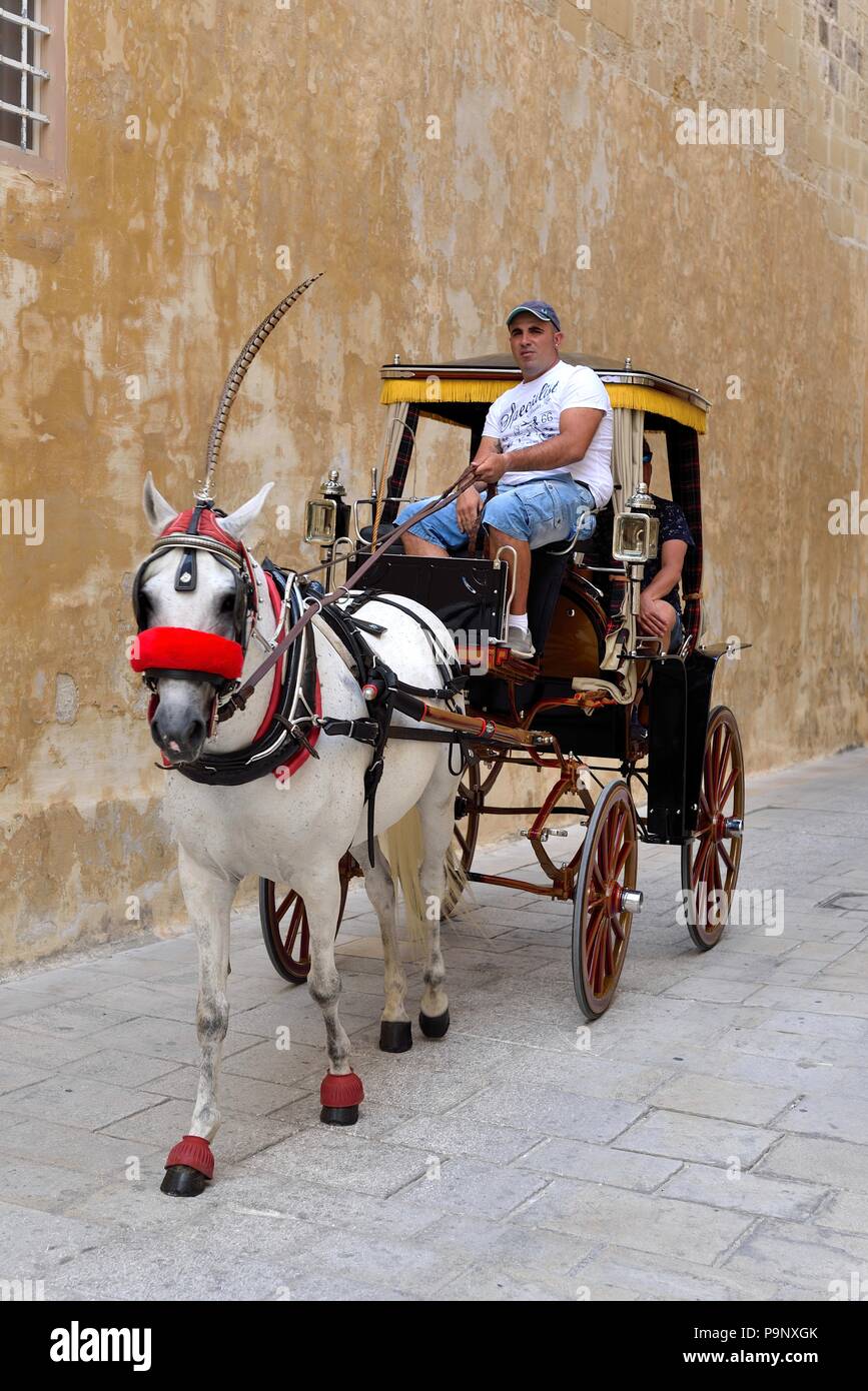 Un tradizionale carrozza trainata da cavalli nel fort a Mdina, Malta Foto Stock