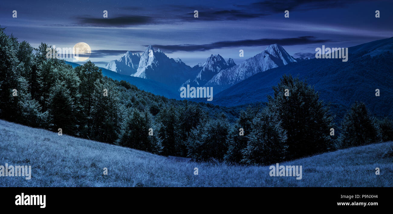 Composito paesaggio estivo in montagna durante la notte di luna piena luce. perfetto paesaggio di campagna con la foresta di faggio su un pendio erboso e monti Tatra Foto Stock