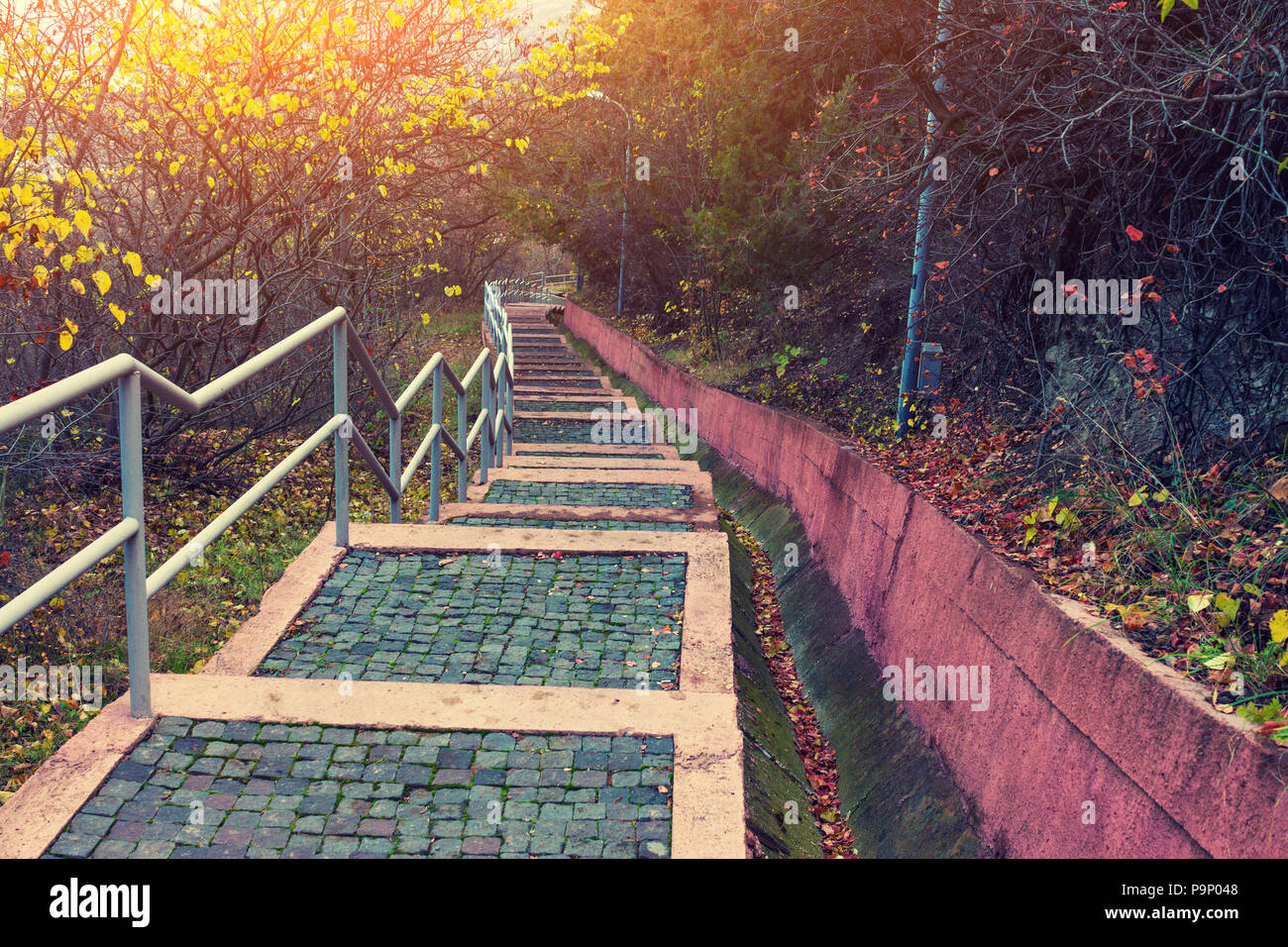 Scale sulla collina nel parco. In discesa Foto Stock