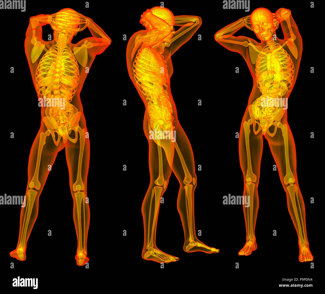 3D rendering illustrazione di umana Foto Stock