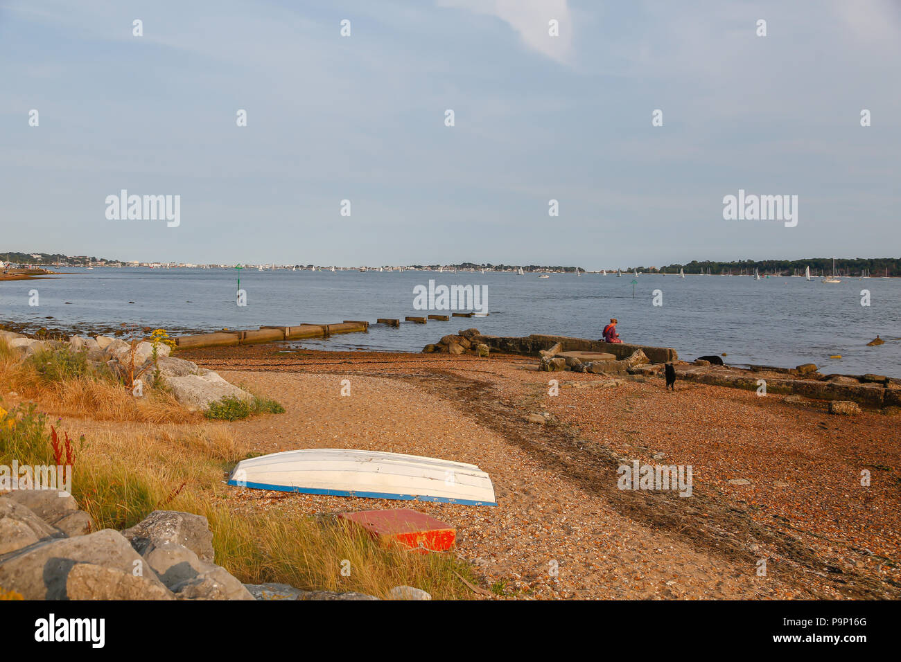 La vita intorno a Poole Quay ad Harbour Foto Stock