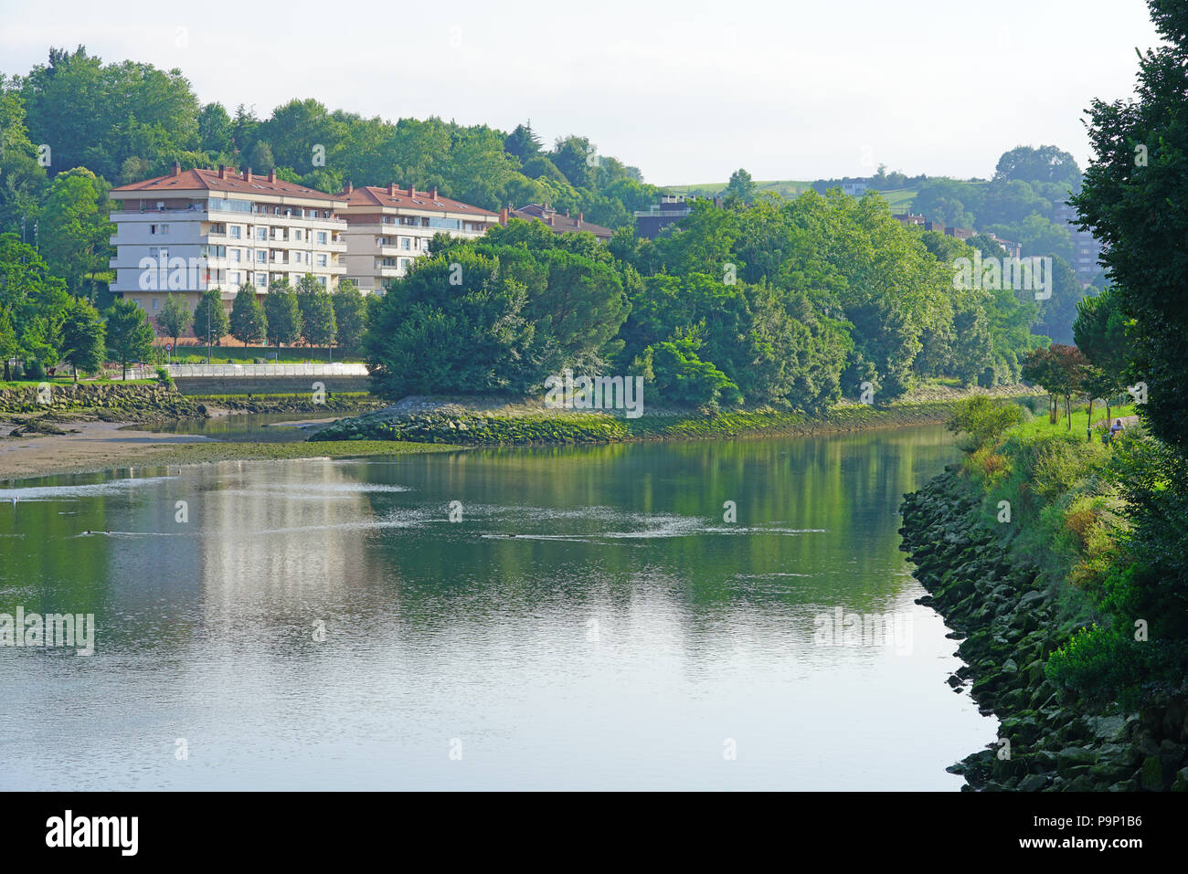 HENDAYE, Francia- Pheasant Island, un'isola disabitata sul Fiume Bidasoa tra Hendaye e Irun (Spagna), un unico condominio in diritto internazionale Foto Stock