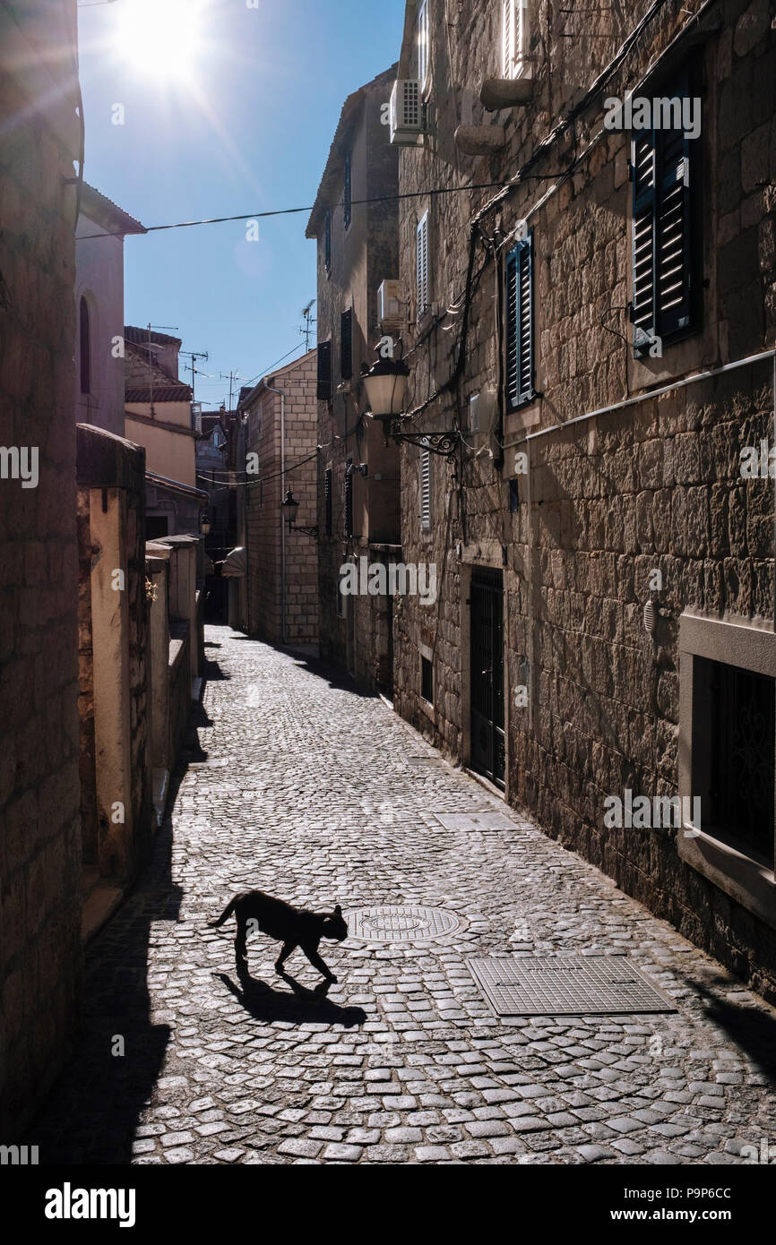 Sfortuna Del Gatto Nero Immagini Sfortuna Del Gatto Nero Fotos