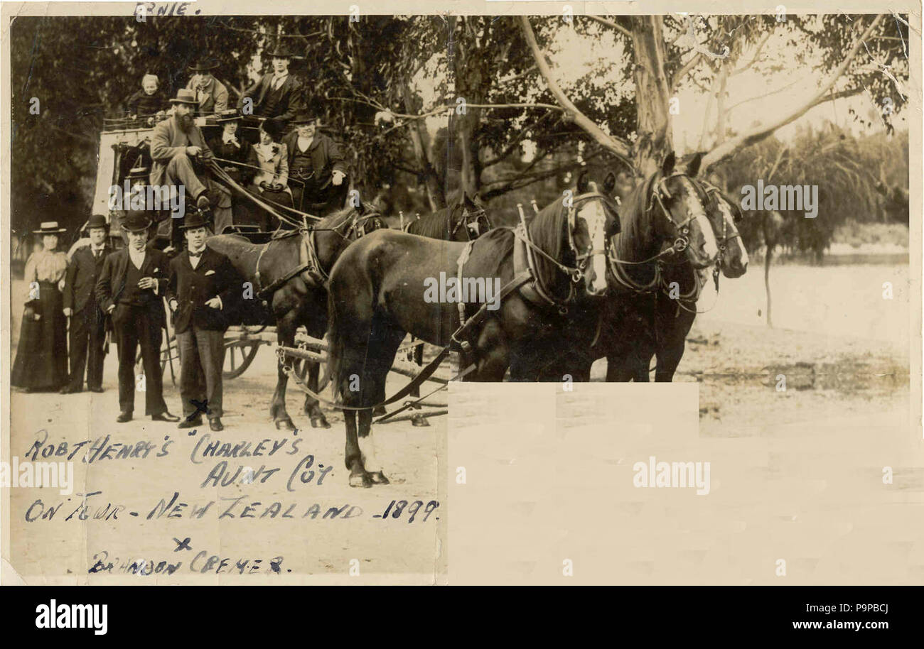 95 ABCHorsesclean Foto Stock