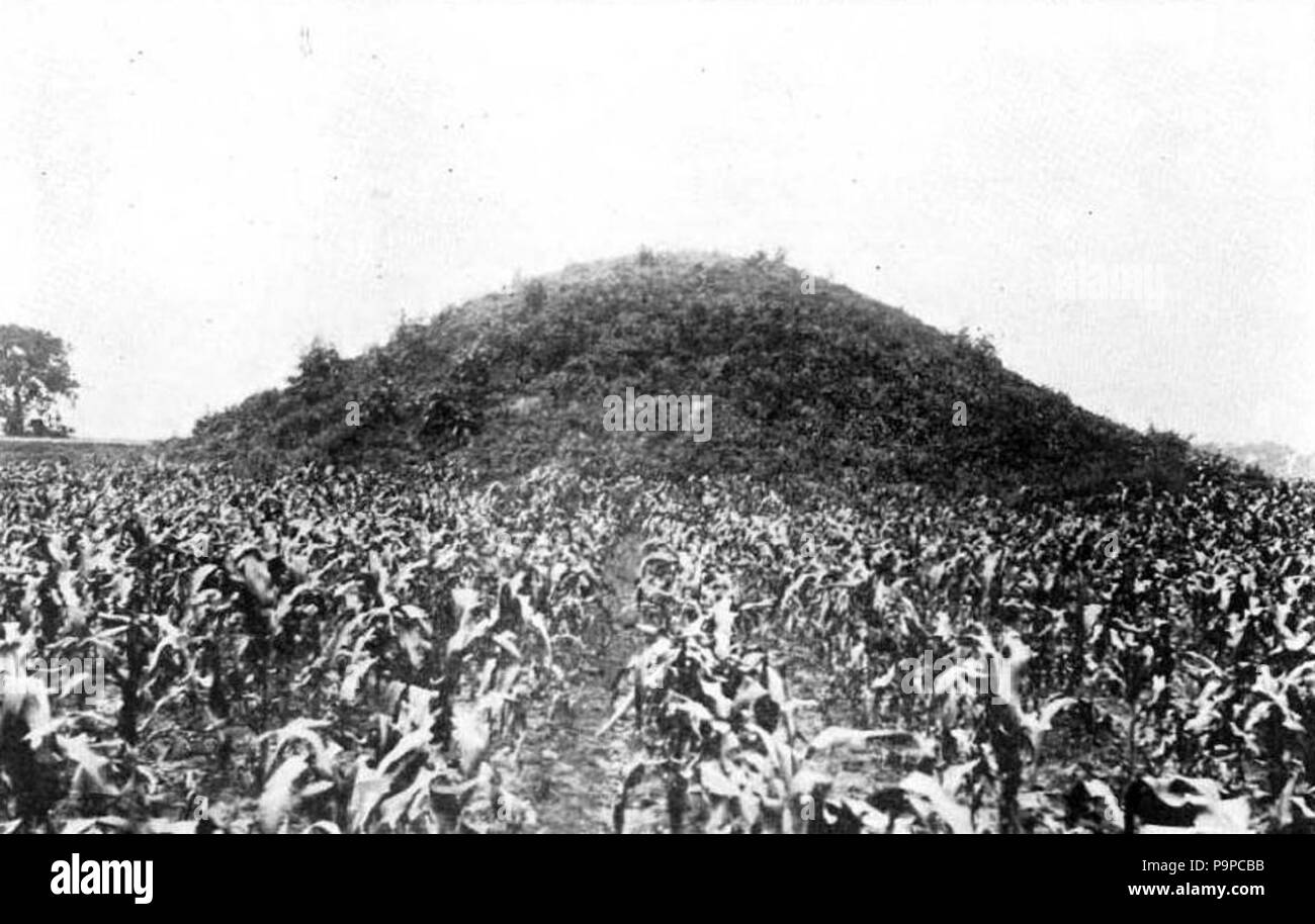 . Inglese: Pre-vista di scavo del Tumulo Adena, situato in Chillicothe, Ohio, Stati Uniti, a nord-ovest dal centro cittadino. Tipo di sito per la cultura Adena, il sito è elencato nel Registro Nazionale dei Luoghi Storici, anche se il tumulo è stato rimosso decenni fa. prima del 1901: Il tumulo è stato scavato nel 1901 100 Adena Mound Foto Stock