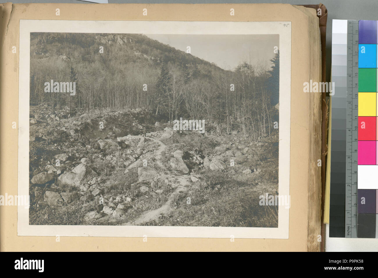 244 repentine di taglia e coperchio. Tipica del paese attraversato in Putnam County. Contratto 22. Il 5 novembre 1909 (NYPL b13814376-435418) Foto Stock