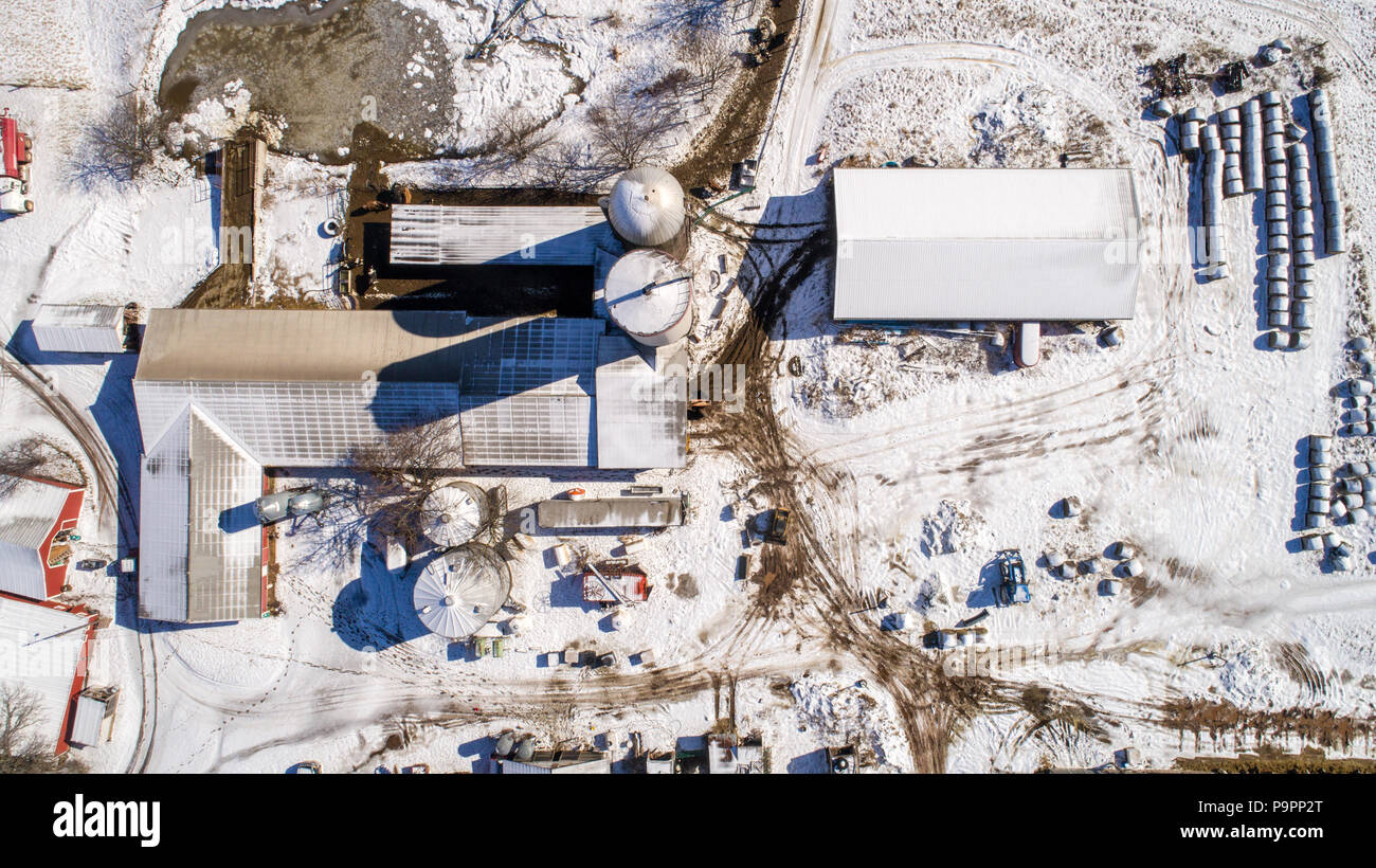 Elevato angolo di visione del lavoro dairy farm in azione su un giorno nevoso, Taneytown, Maryland Foto Stock