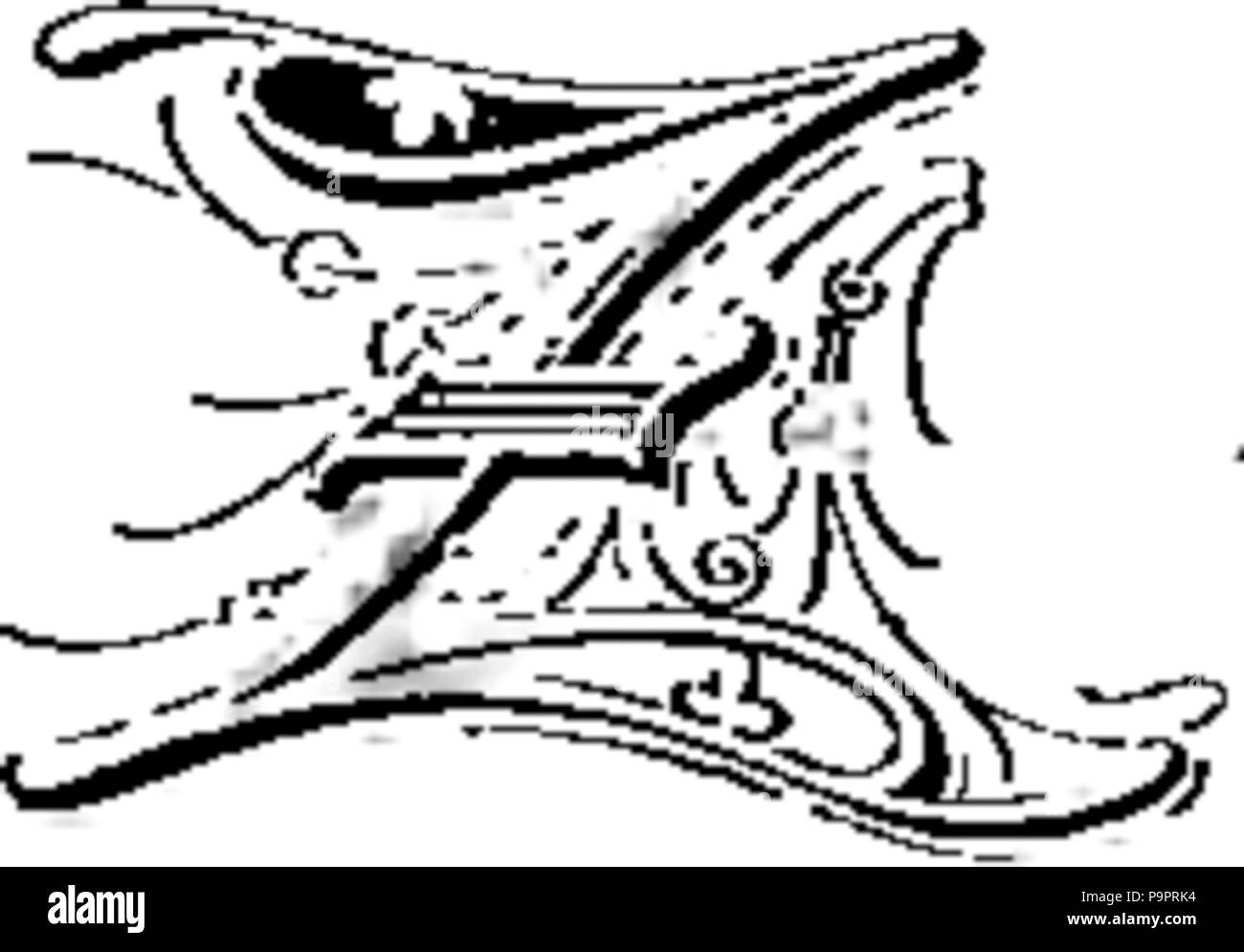 112 Album Polaków zasłużonych wieku XIX-inicjał Z Foto Stock