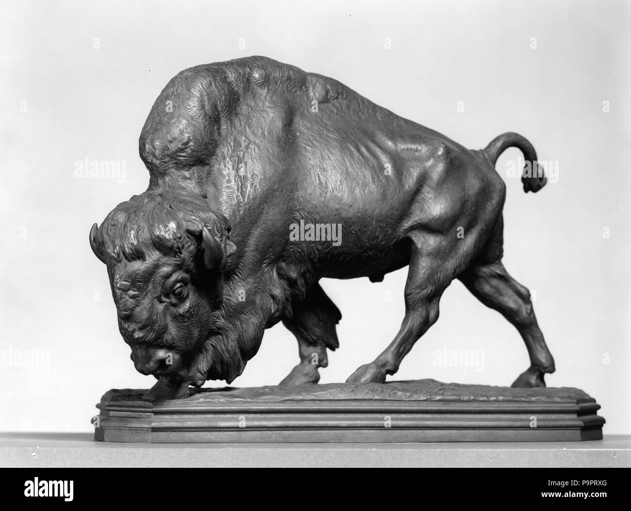 113 Alexander Phimister Proctor - Buffalo - Walters 2815 - Lato A Foto Stock