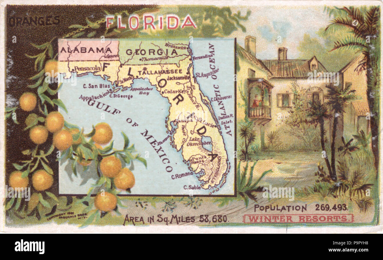 . Inglese: persistente URL: digital.lib.muohio.edu/u?/tradecards,4109 soggetto (TGM): Caffè industria; Statualità; mappe; frutticoltura; arancione frutteti; alberi di arancio; arance; Messaggio: Parole chiave . circa 1889 147 Arbuckle Bros. Coffee Company (3092986421) Foto Stock