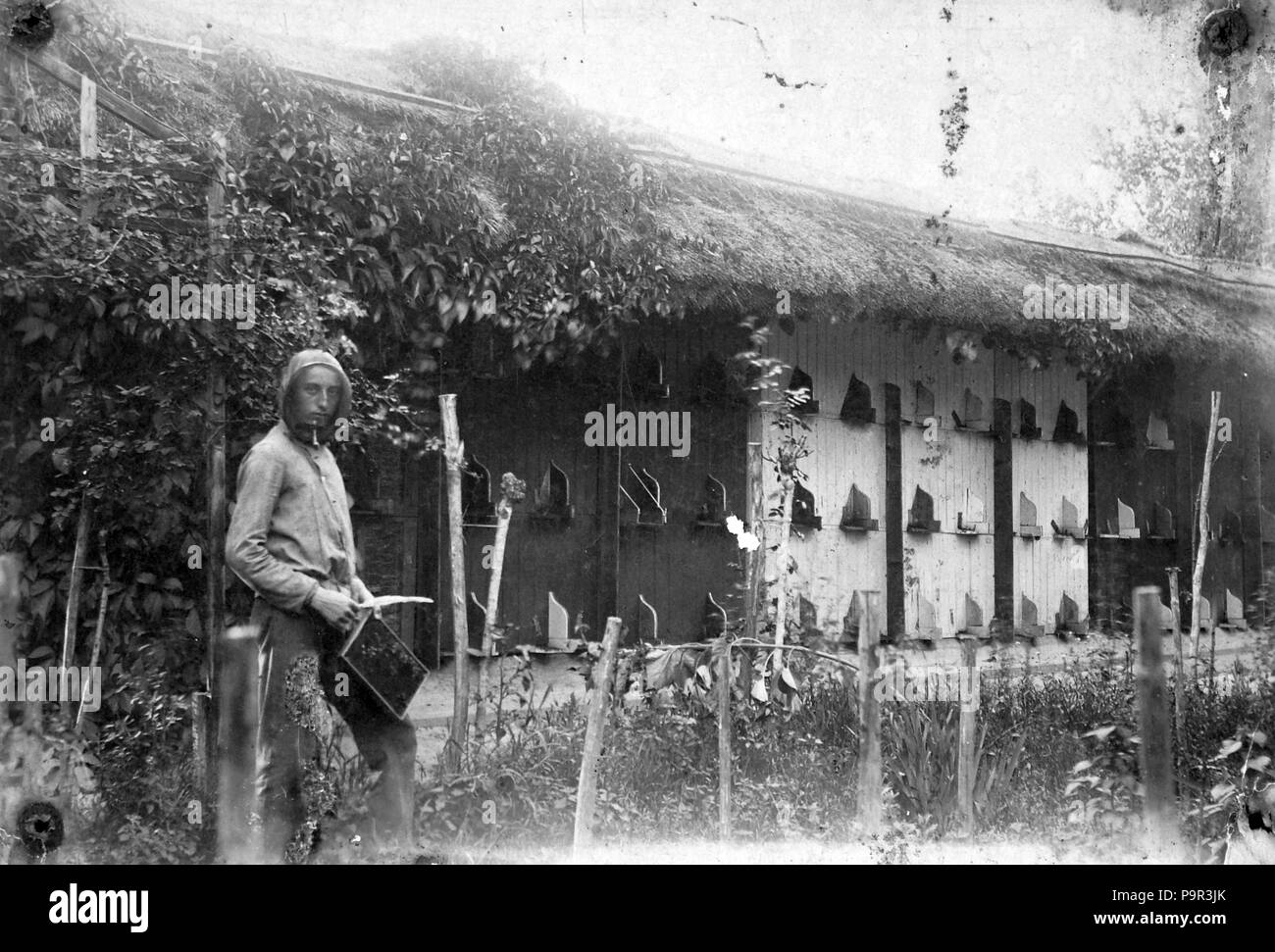 192 Apicoltura, uomo, giardino Fortepan 15780 Foto Stock