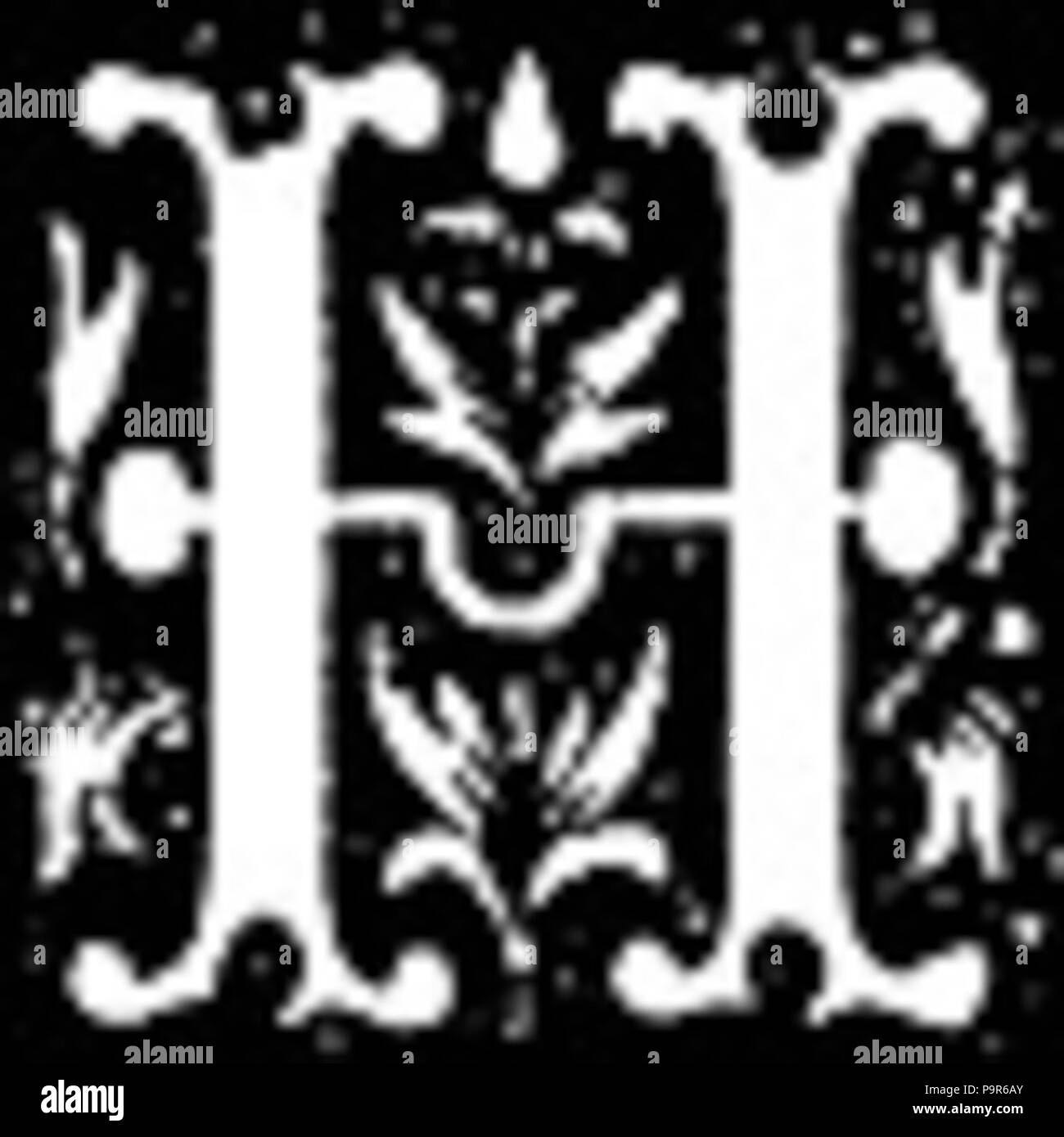 211 Lettera Maiuscola H immagine Foto Stock