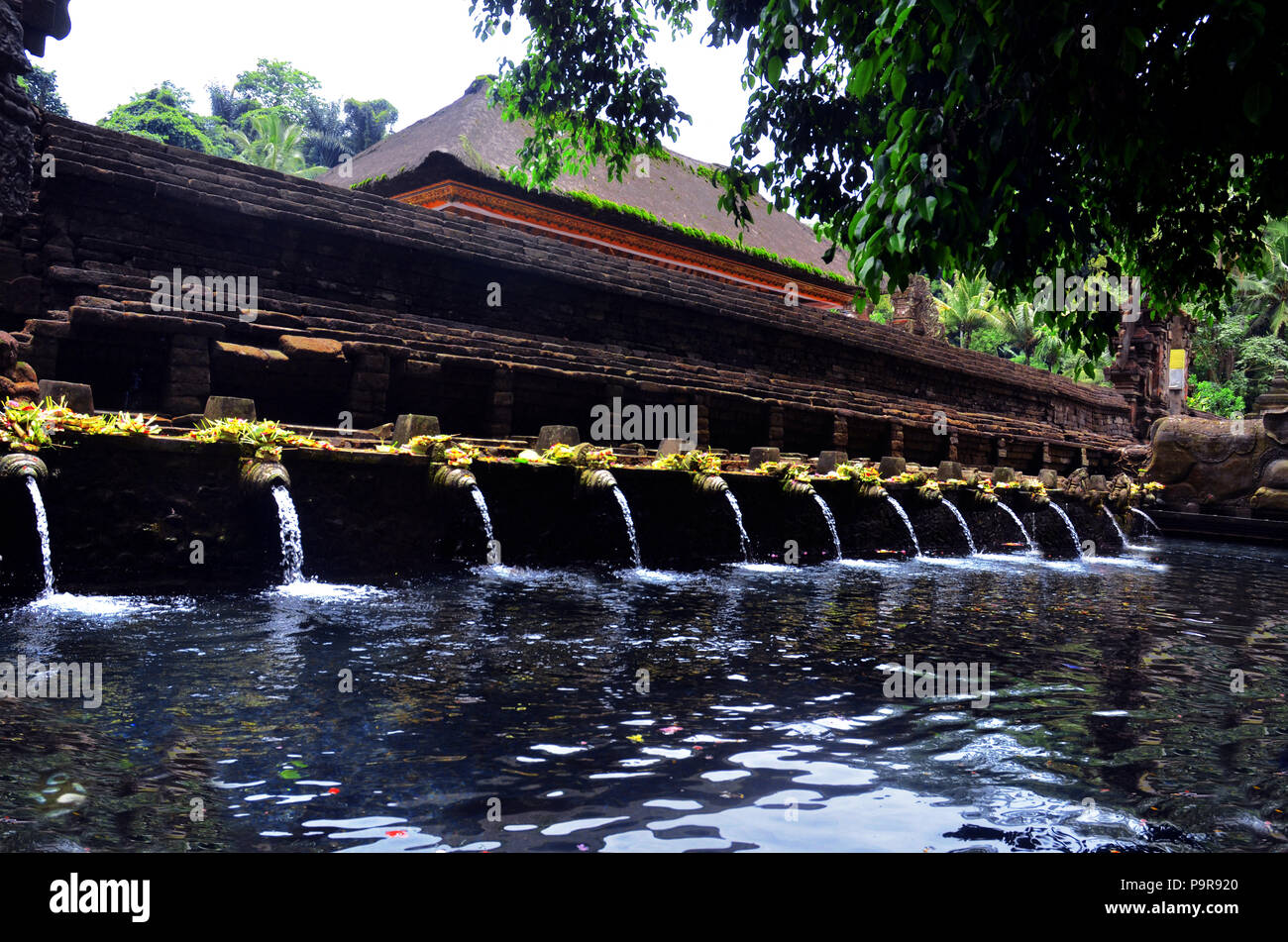 Santo pool di Pura Tirta Empul, Manukaya, Tampaksiring, Gianyar Bali Foto Stock Santo pool di Pura Tirta Empul, Manukaya, Tampaksiring, Gianyar Bali Foto Stock