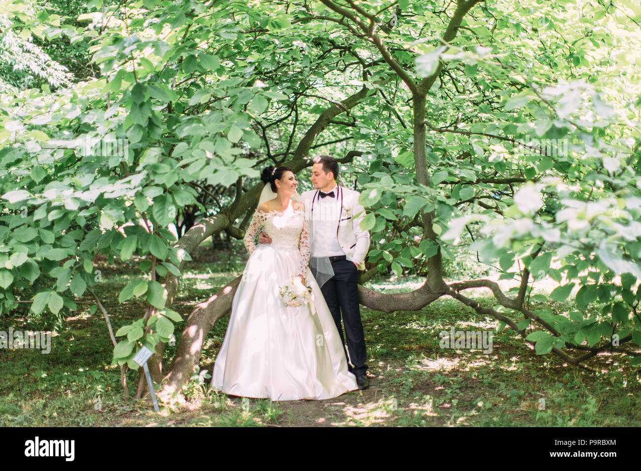 Vista orizzontale della happy sposi in piedi sotto il grande albero verde. Foto Stock
