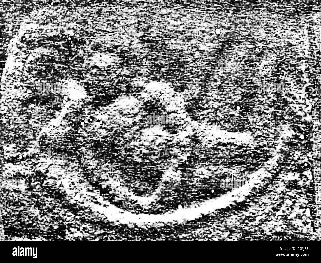 214 Bodh Gaya Apsara fotografia originale Foto Stock