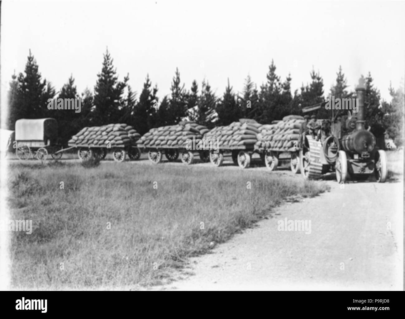 214 Boer locomotore Foto Stock