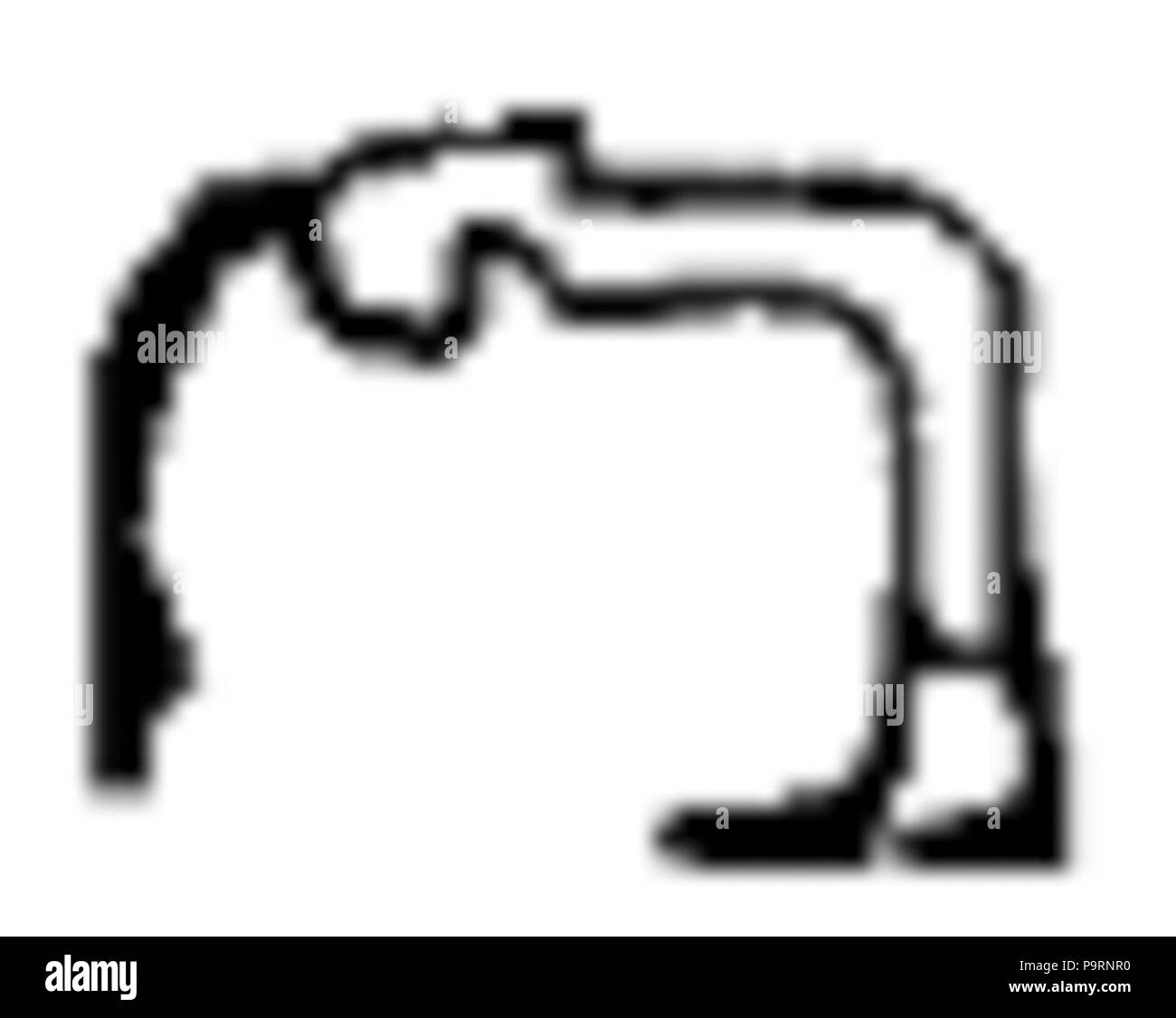 262 C+B-Egypt-Pictoglyph63 Foto Stock