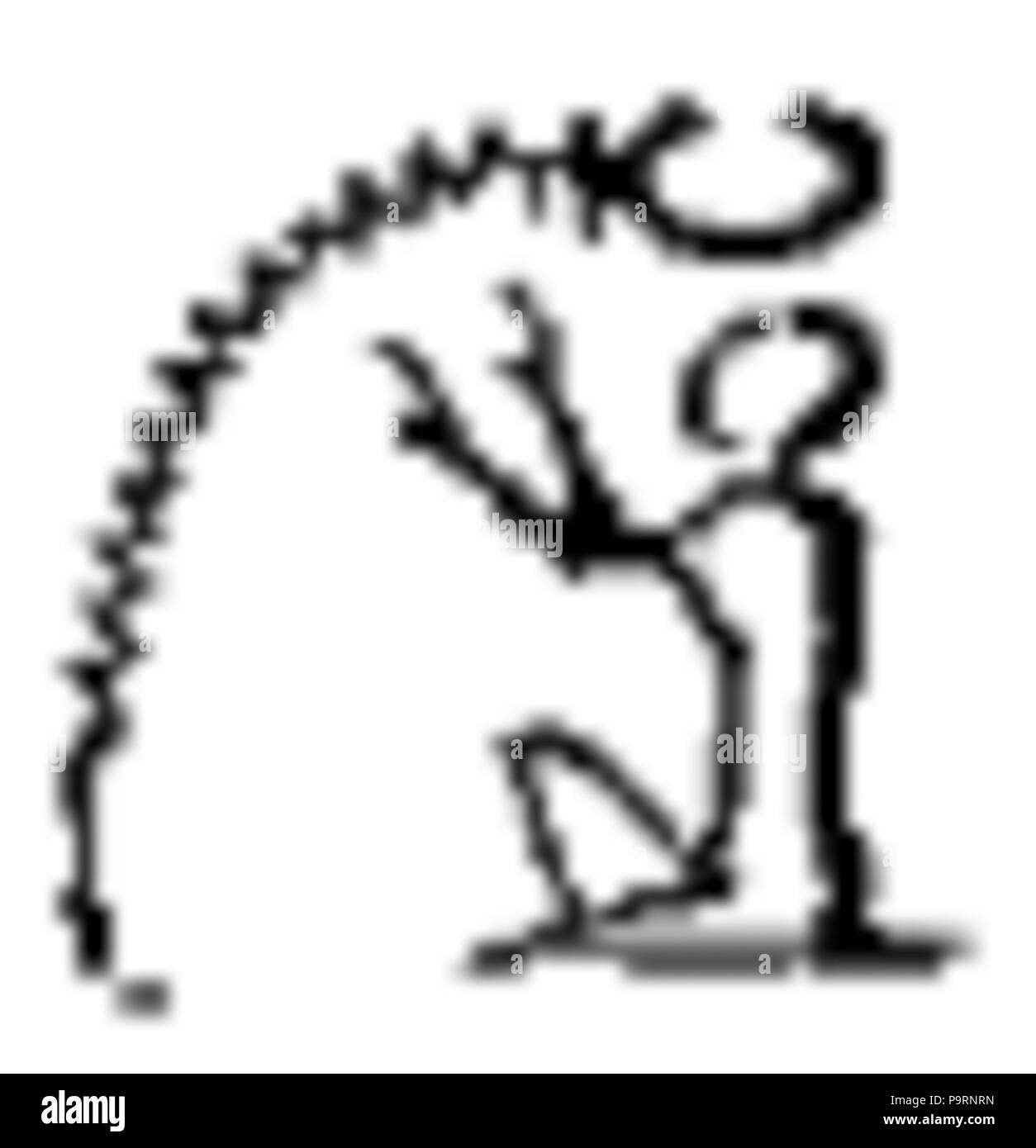 262 C+B-Egypt-Pictoglyph76 Foto Stock