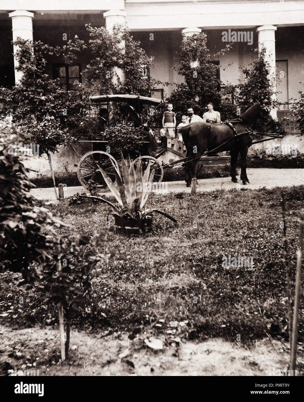 283 Carrello, cavallo, pullman, portico Fortepan 75327 Foto Stock