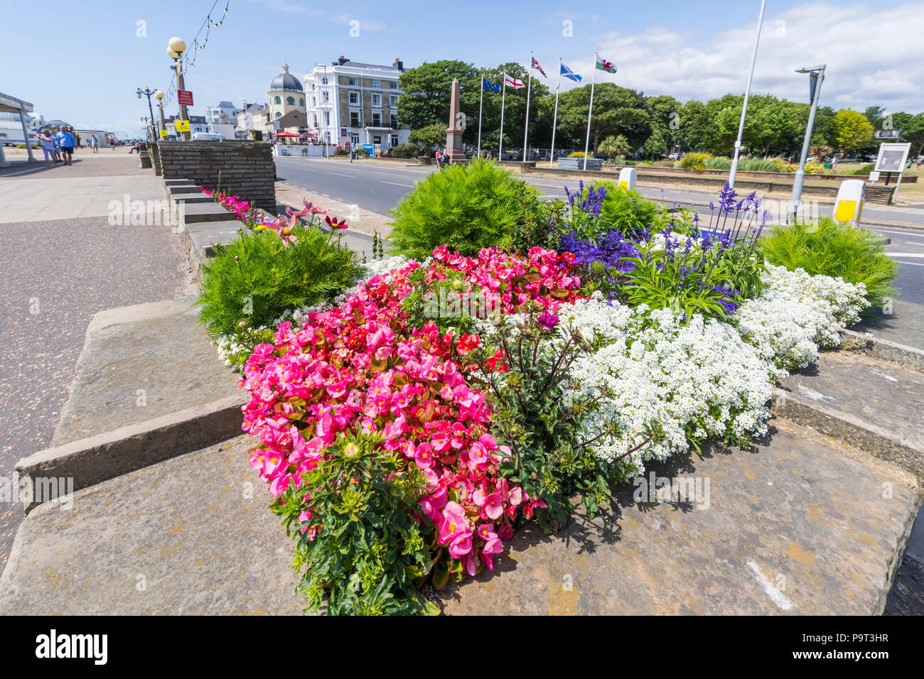 Comunità fiori in mostra come parte del Worthing town center iniziativa lungomare piantare, in Marine Parade in Worthing West Sussex, in Inghilterra, Regno Unito. Foto Stock