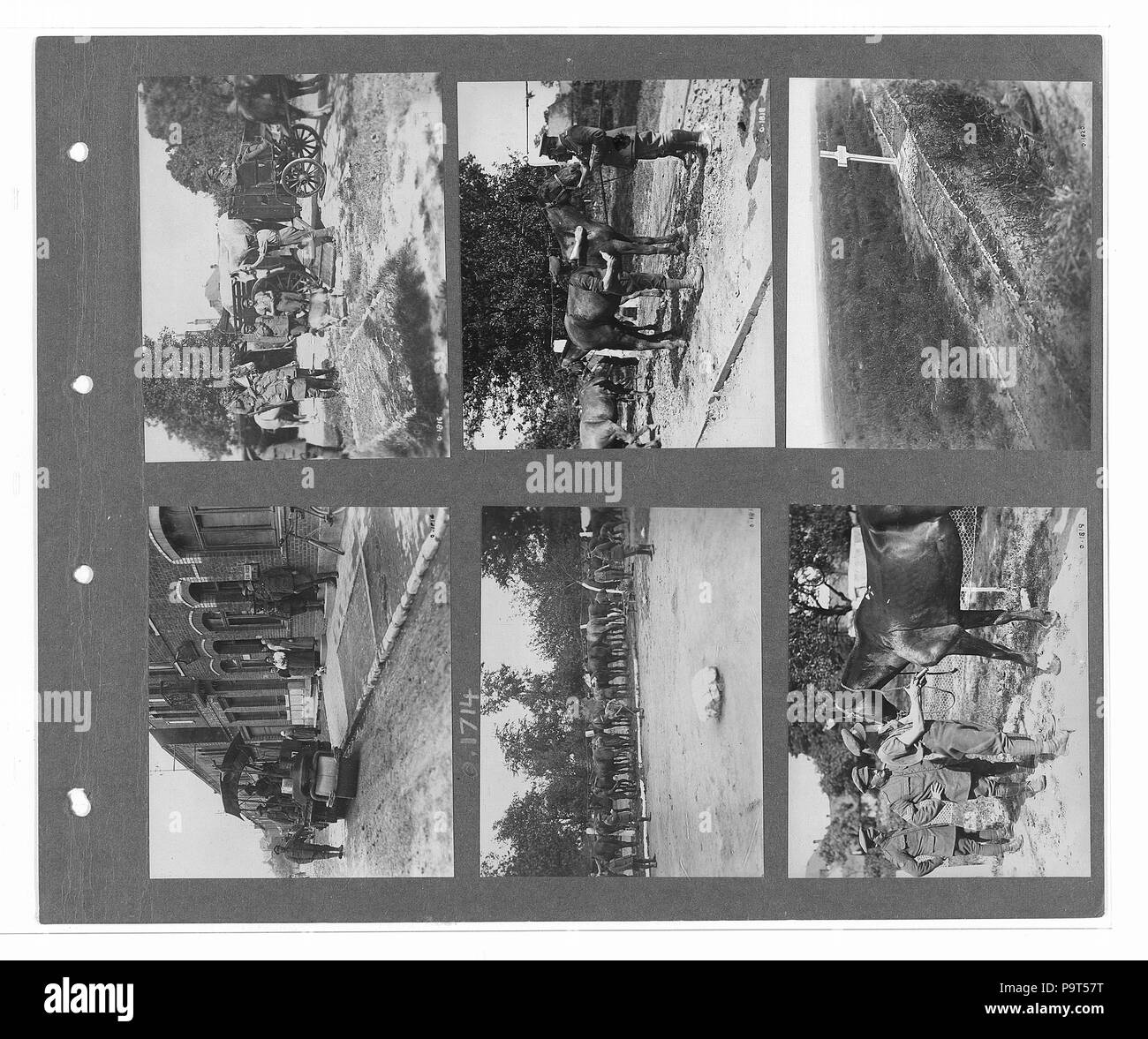 274 canadese guerra ufficiale fotografie (BL l.r.233.b.57.v3 f019r) Foto Stock