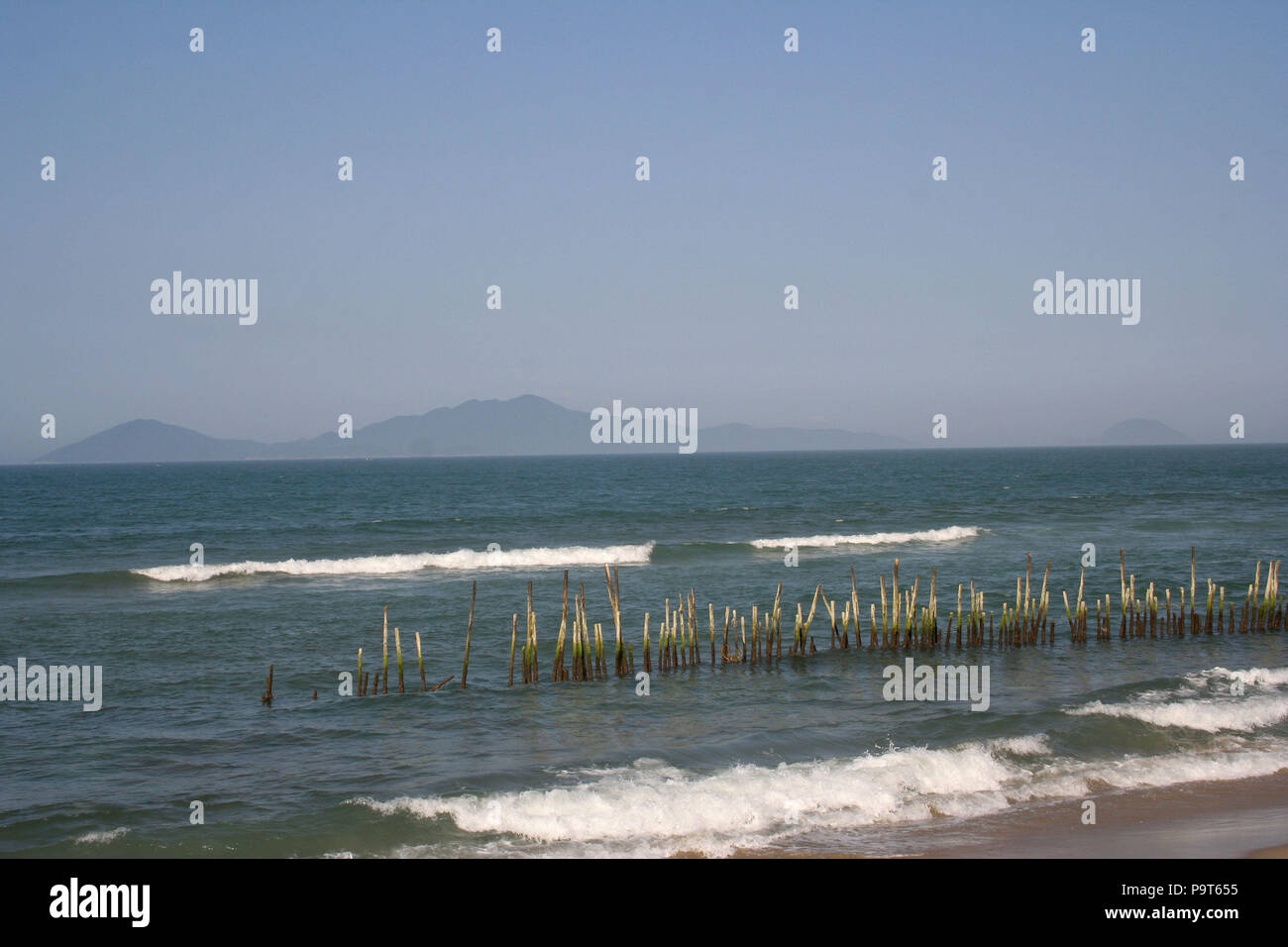 Fila di bastoni in mare con le colline in background sul vietnamita Costa Est, Vietnam Foto Stock