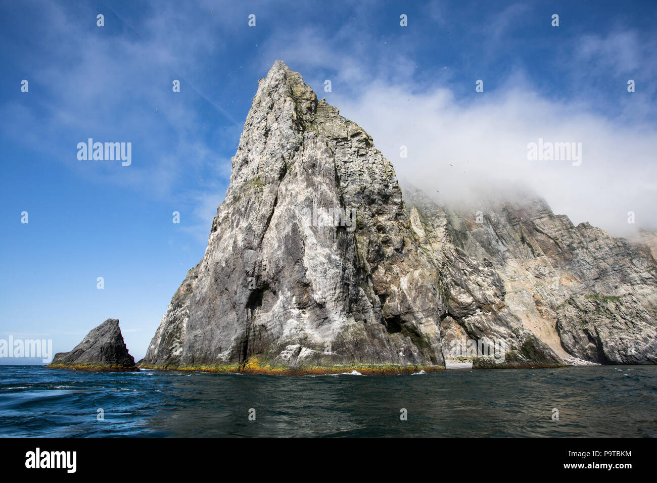 Svalbard, Bjørnøya, Isola di Bear, le scogliere degli uccelli Foto Stock