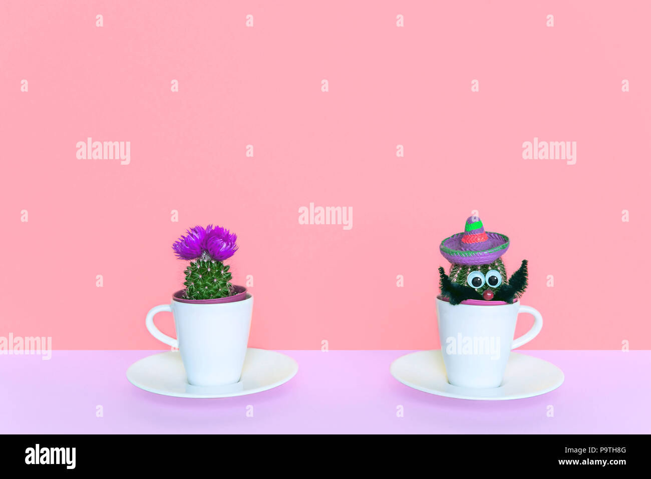 Piccolo cactus in un vaso di fiori su un sfondo alla moda. Foto Stock