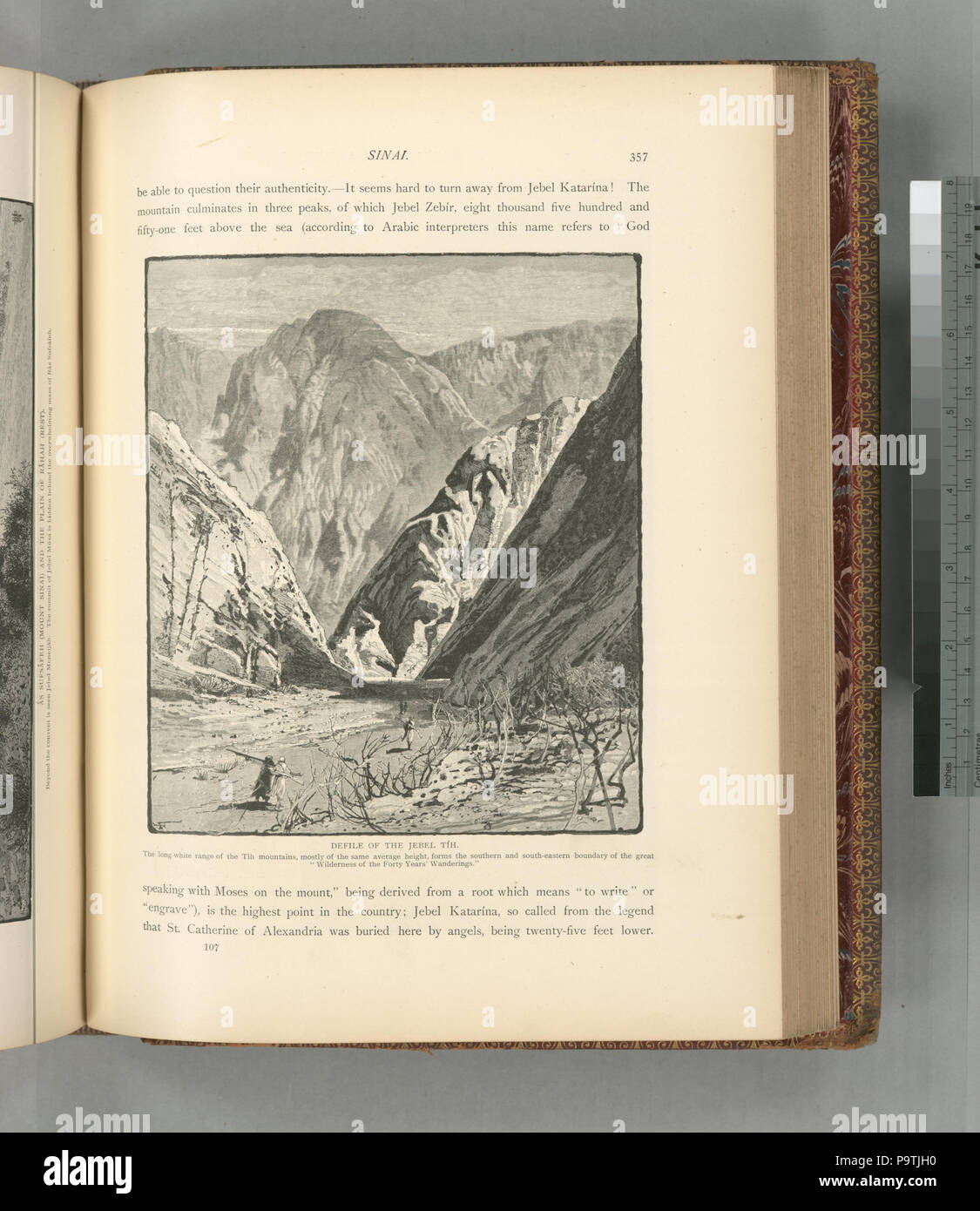 379 contaminano del Jebel Tíh. Il lungo intervallo di bianco delle montagne Tíh, la maggior parte della stessa altezza media, le forme del sud e del sud-confine orientale del grande deserto di quaranta (NYPL b10607452-80788) Foto Stock
