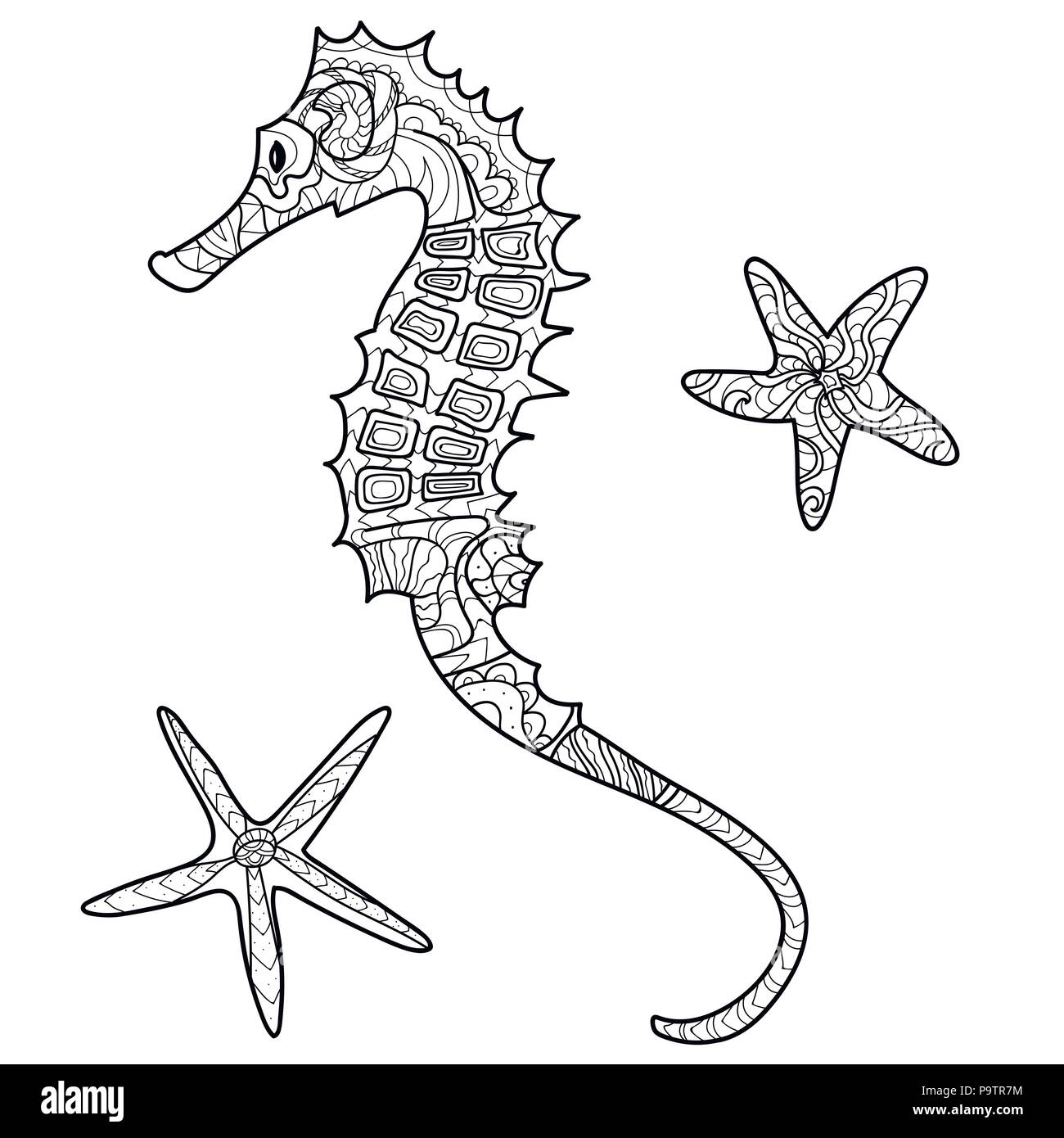 Cavallo di mare, conchiglie, pattern, libro da colorare, pagina, vettore Illustrazione Vettoriale