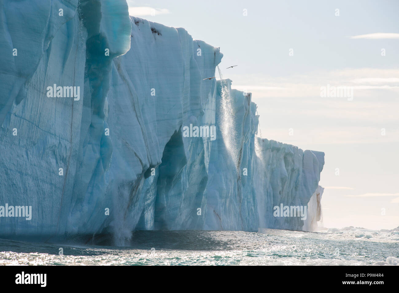 Brasvellbreen, cascate di acqua di disgelo caduta in mare dal ghiaccio Austfonna Cap in Svalbard Foto Stock