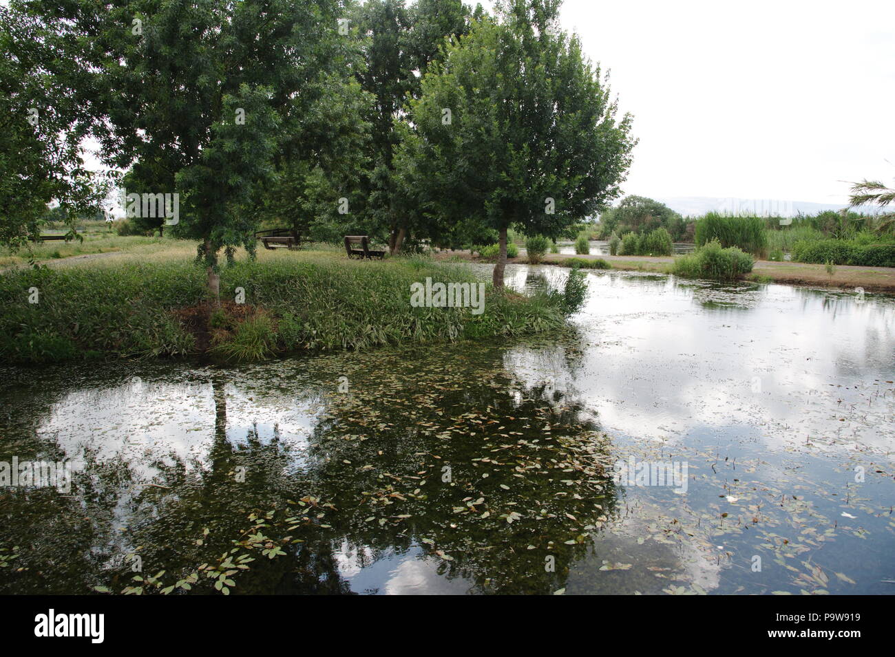 Di fiume e di lago, Hahola Valley, a nord di Israele Foto Stock