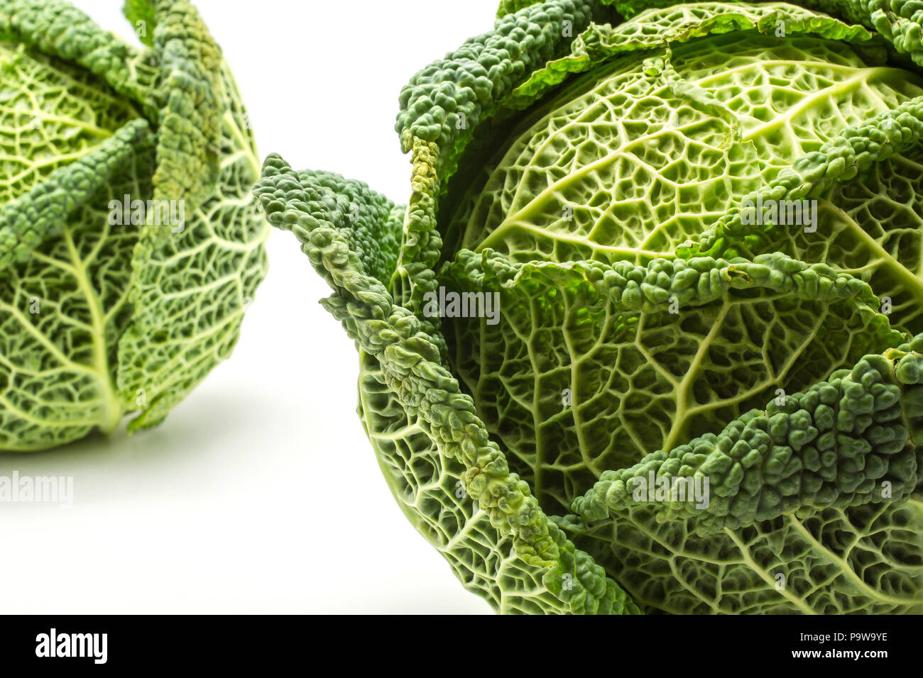 Savoy cavoli cappucci e verzotti di close-up isolati su sfondo bianco fresco due teste di verde Foto Stock