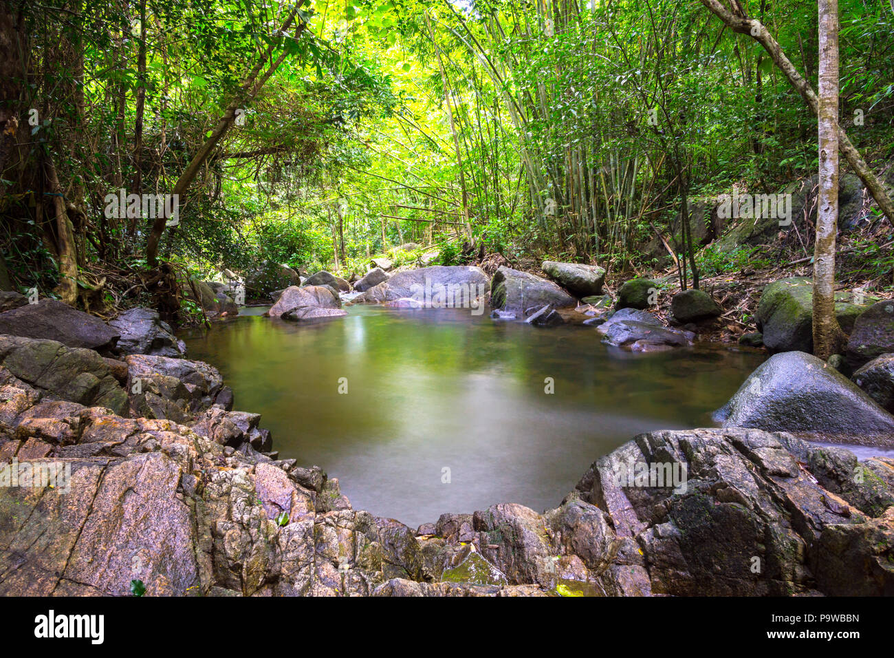 Cascata di Kathu in Phuket è una zona di conservazione che circonda con la lussureggiante foresta verde. Foto Stock
