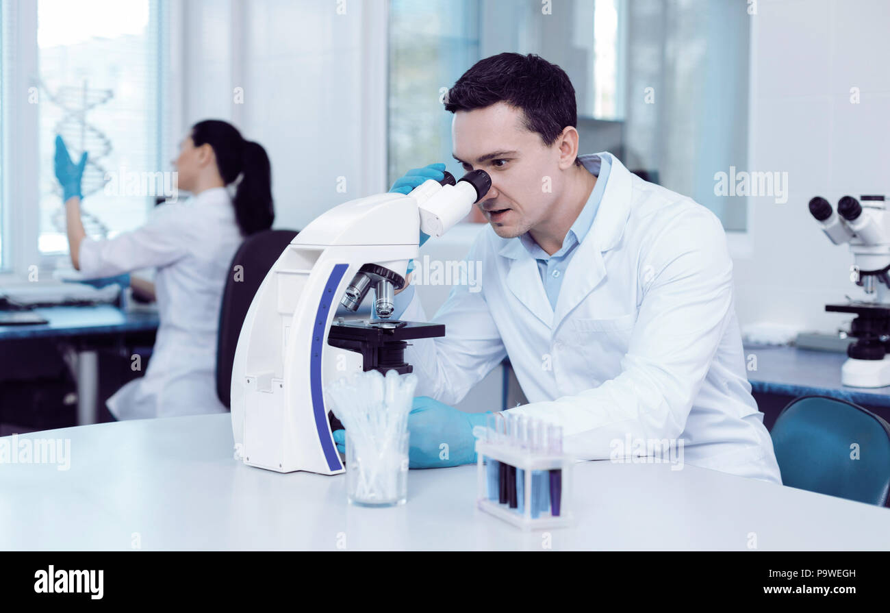Professional biologo. Piacevole bello bello uomo seduto in laboratorio e utilizzando un microscopio mentre studiando Biologia Foto Stock