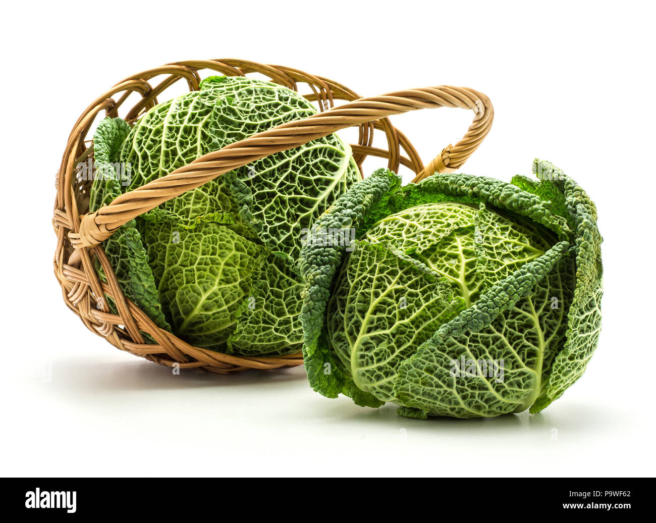Savoy cavoli in un cesto di vimini isolati su sfondo bianco fresco due teste di verde Foto Stock