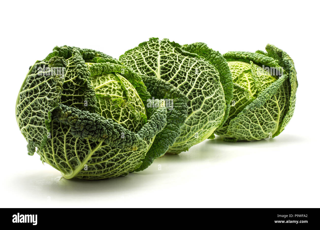 Tre savoy cavoli cappucci isolati su sfondo bianco fresco verde teste in fila Foto Stock